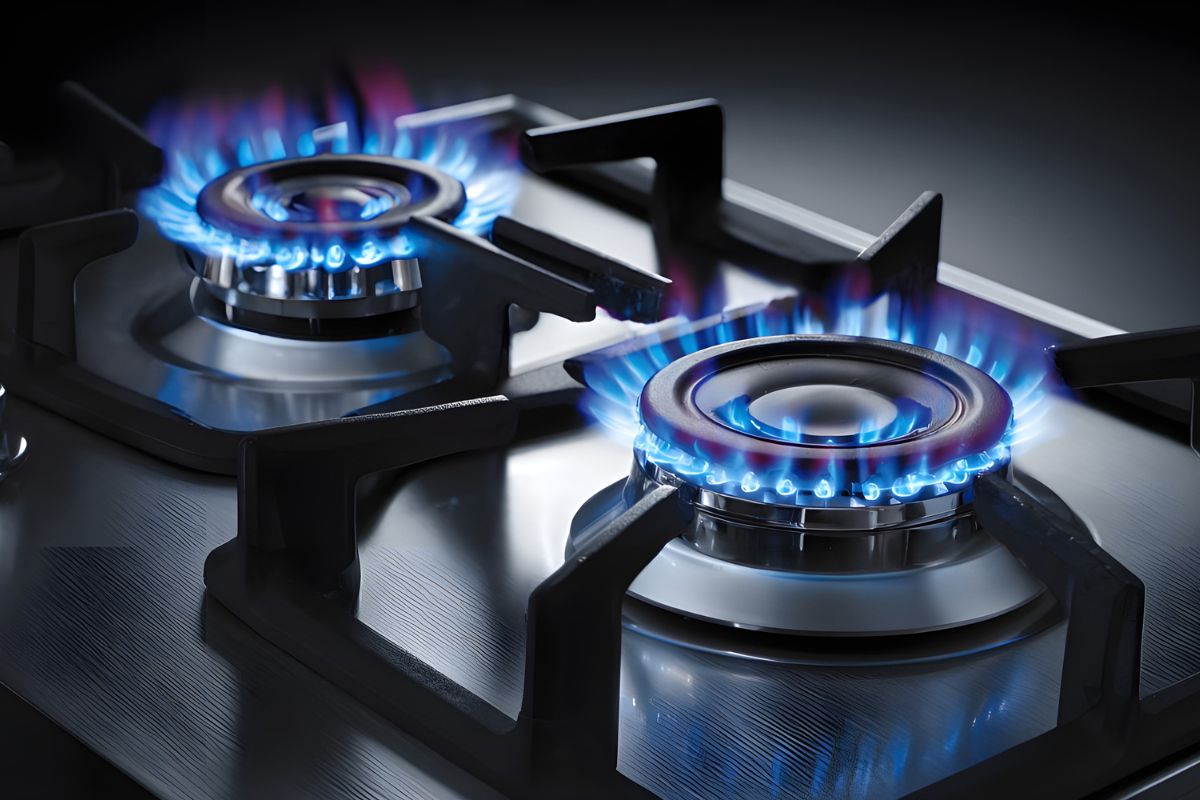 Best Commercial Gas Burners